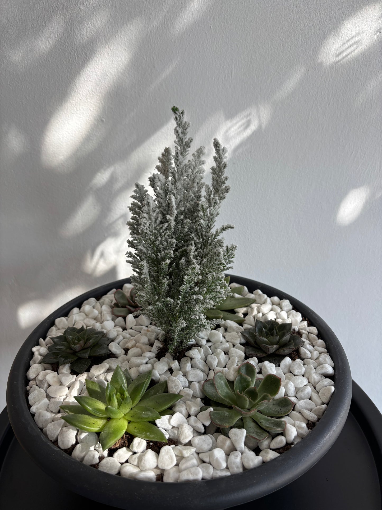 Christmas Arrangement🎄