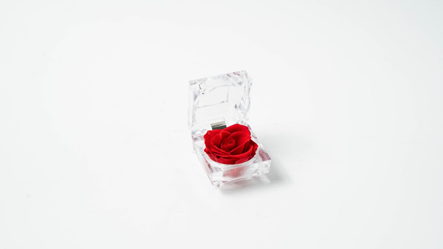 Mini Rose Plant Package