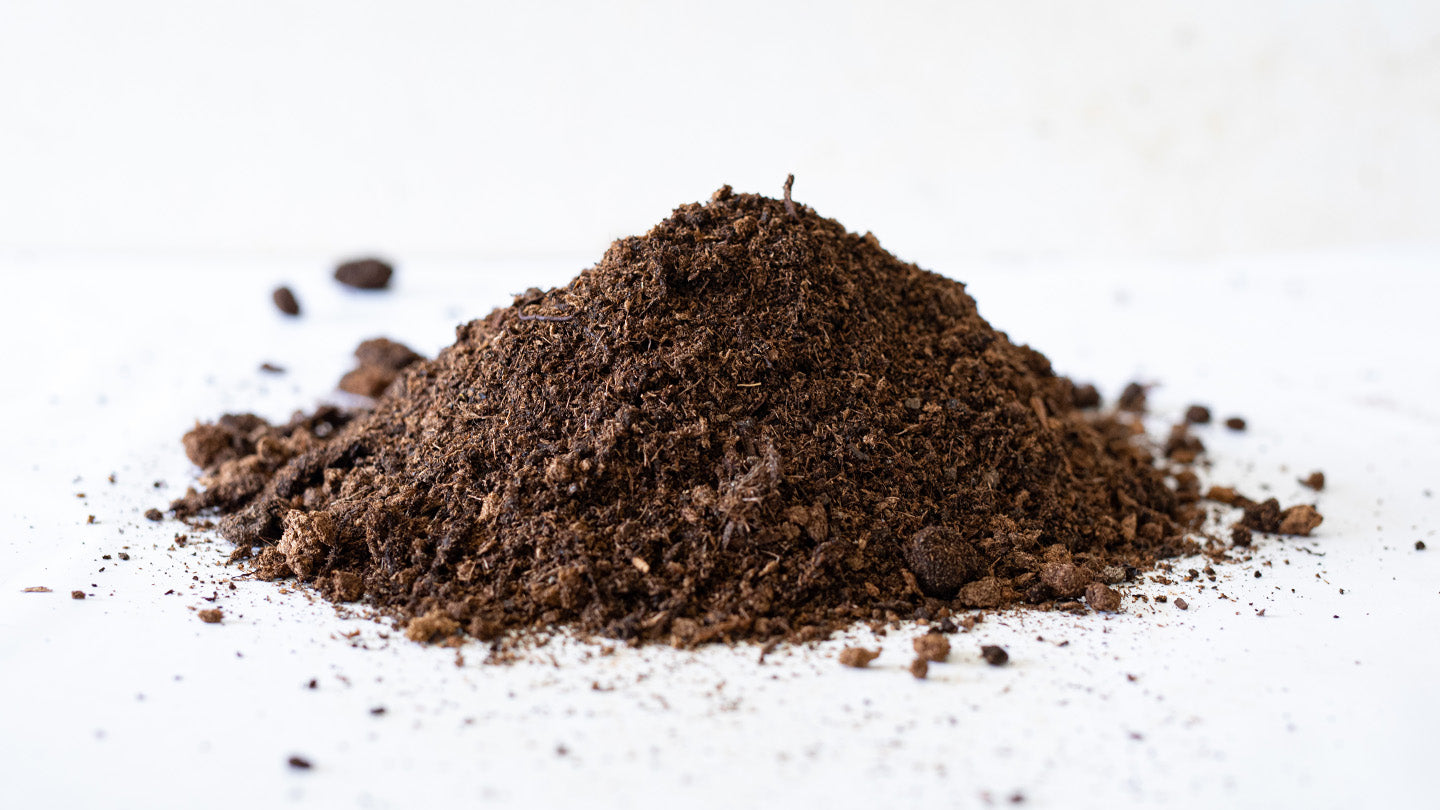 Online Plants Store Limassol Cyprus Potting Soil cybloom